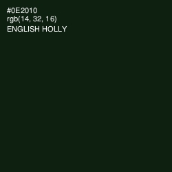 #0E2010 - English Holly Color Image
